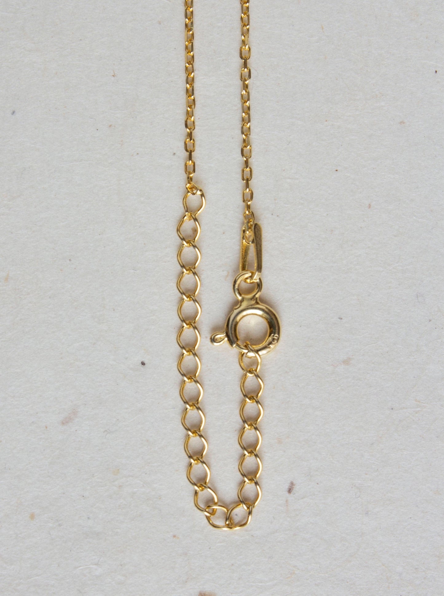 The chain detail